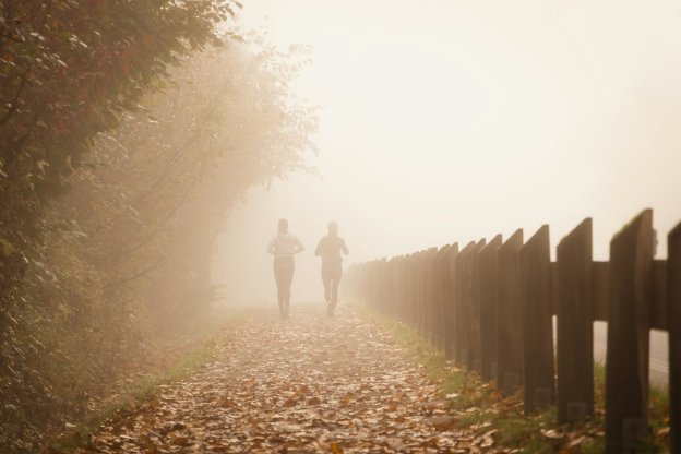 People jogging on a foggy autumn path
