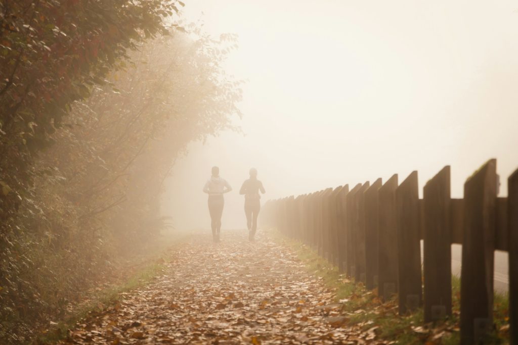 People jogging on a foggy autumn path