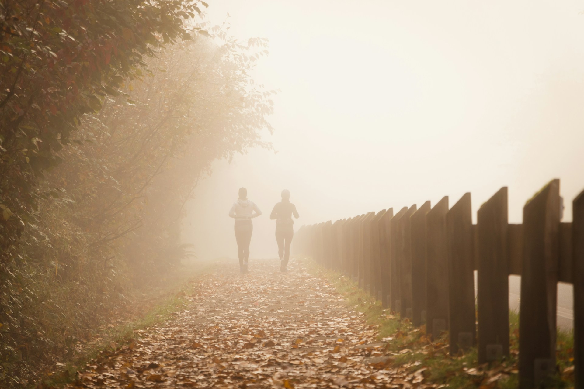 People jogging on a foggy autumn path